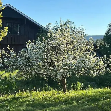 Apartment Koselig Kjellerleilighet