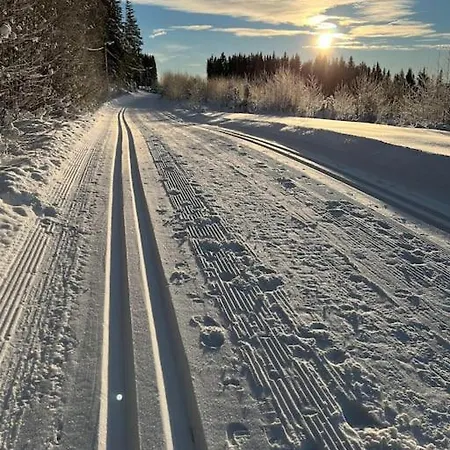 Koselig Kjellerleilighet Lunner