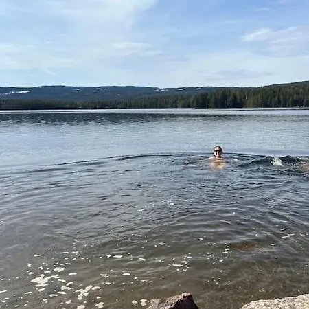 Koselig Kjellerleilighet