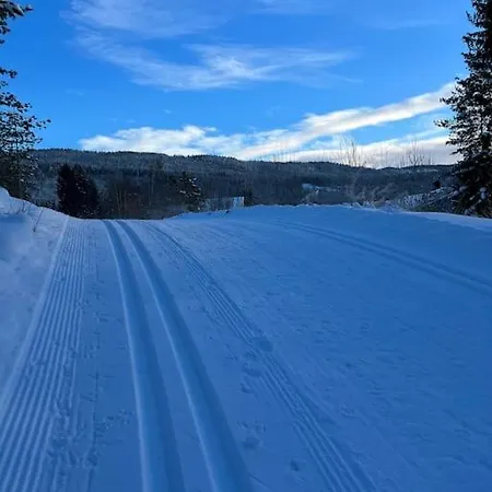 Koselig Kjellerleilighet